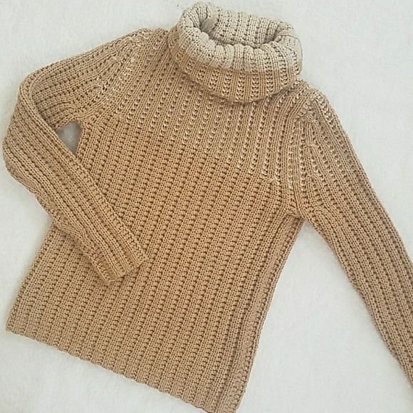 GAP Sweaters - Gap Chunky Turtleneck Sweater